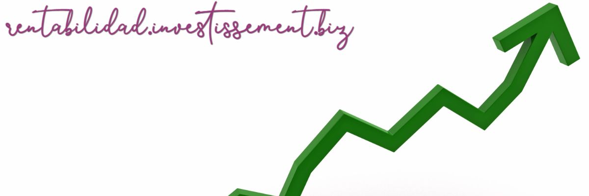 rentabilidad.investissement.biz